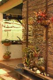 Des plantes décorent l'entrée